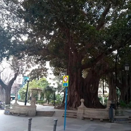 La Estrella De Apartamento *